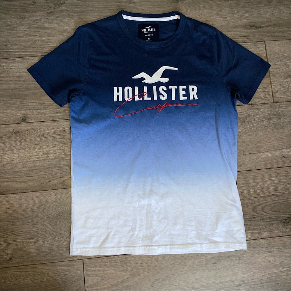 Hollister Mens T Shirt